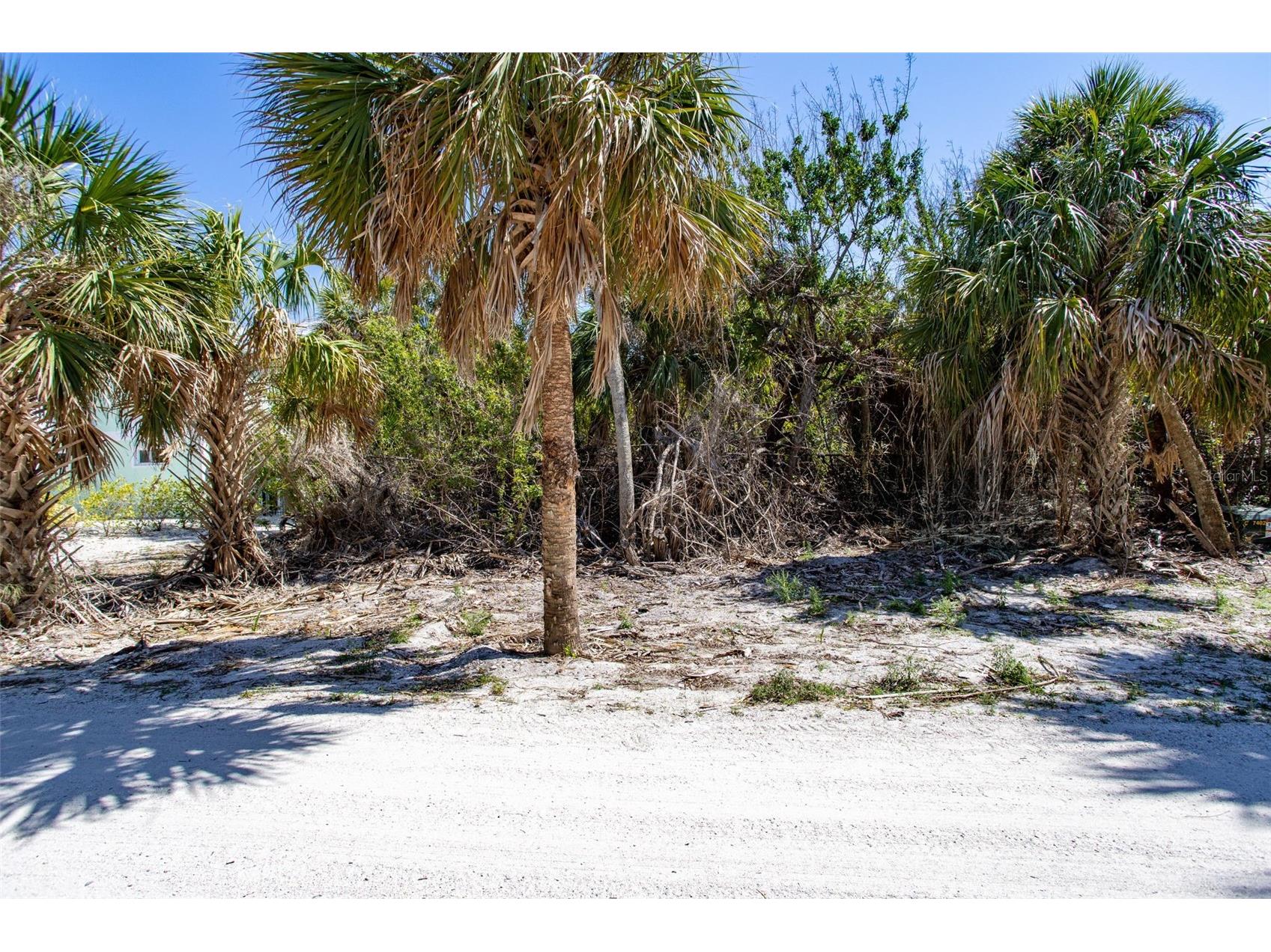 72 Palm Drive Placida FL 33946 A4657547 image1