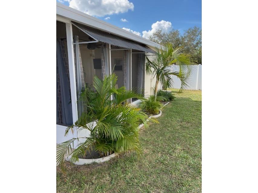 72 Pindo Palm Street W Largo FL 33770 TB8464330 image3