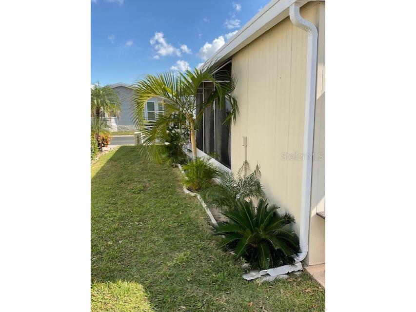 72 Pindo Palm Street W Largo FL 33770 TB8464330 image4