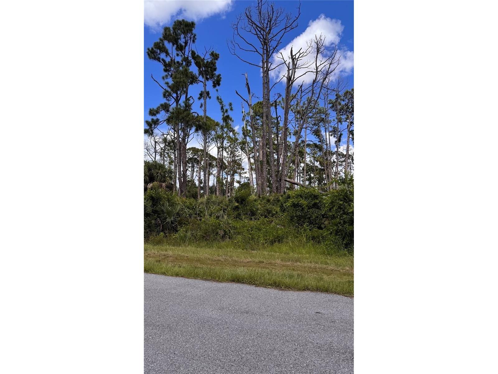 72 Pompano Street Port Charlotte FL 33953 C7515890 image3