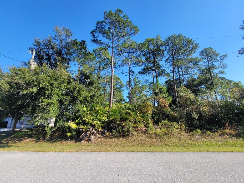 72 Ramblewood Drive Palm Coast FL 32164 FC305679 image1