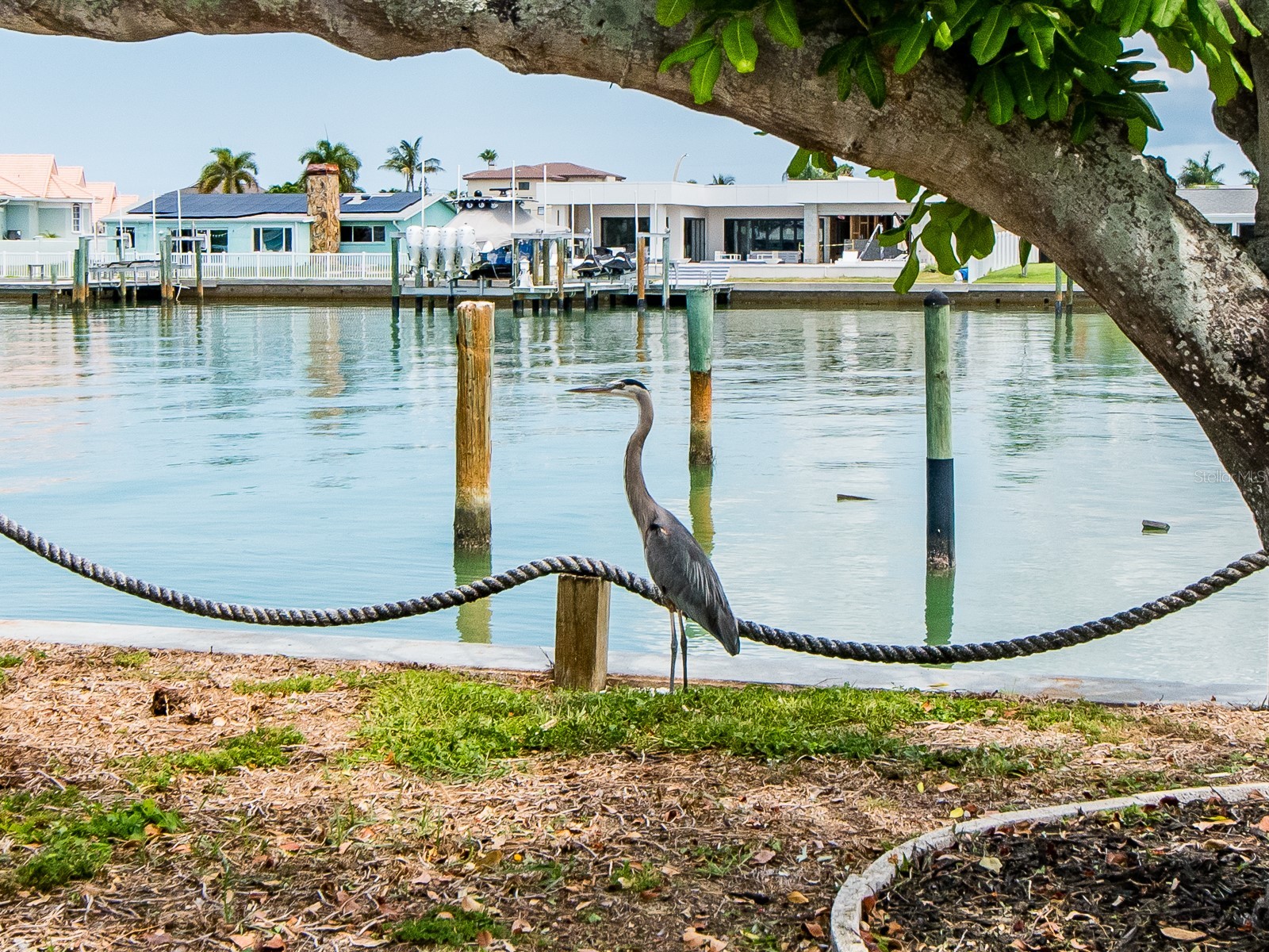 720 115th Avenue Treasure Island FL 33706 TB8517344 image35