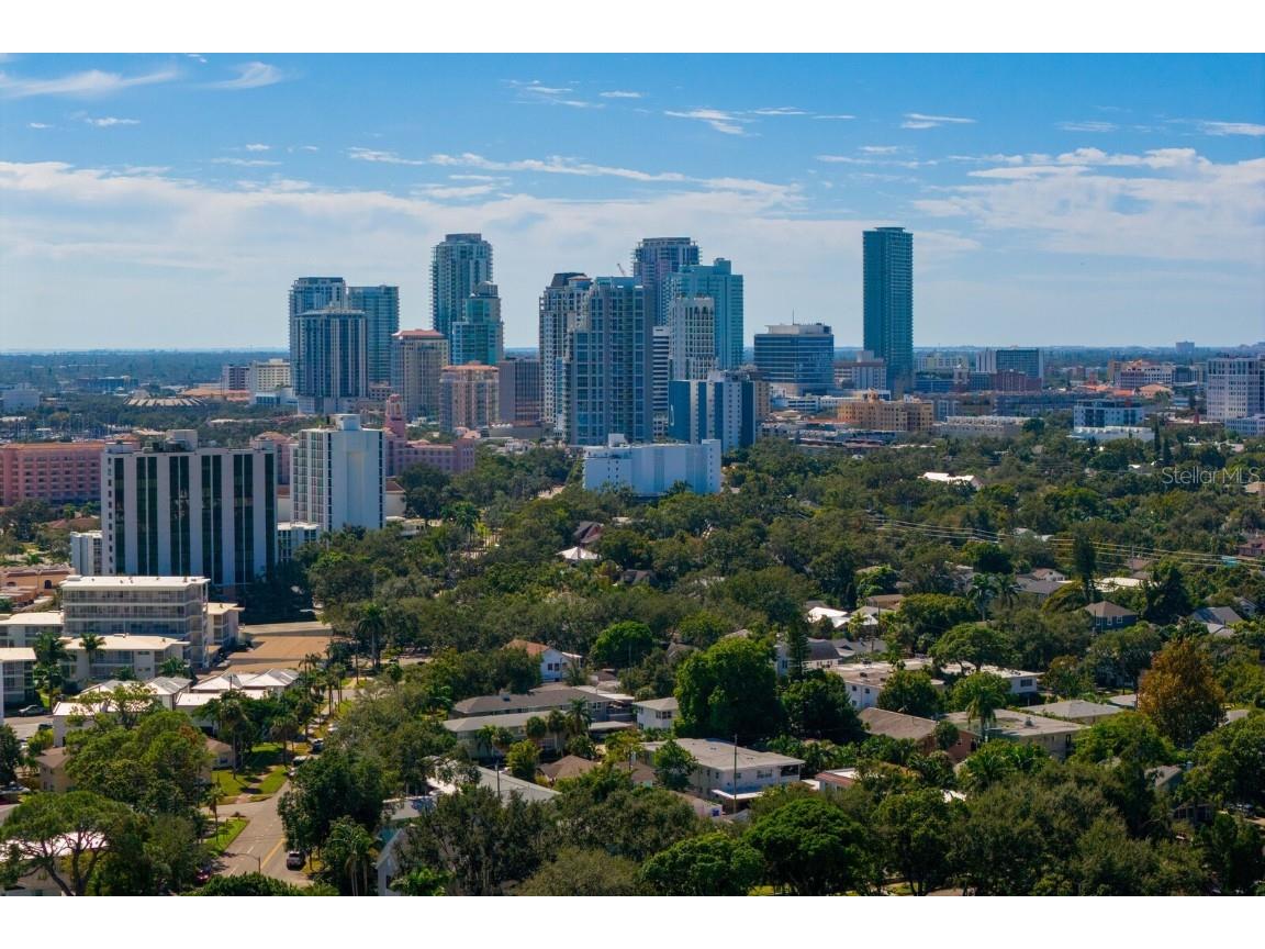 720 16th Avenue NE Saint Petersburg FL 33704 TB8434867 image64