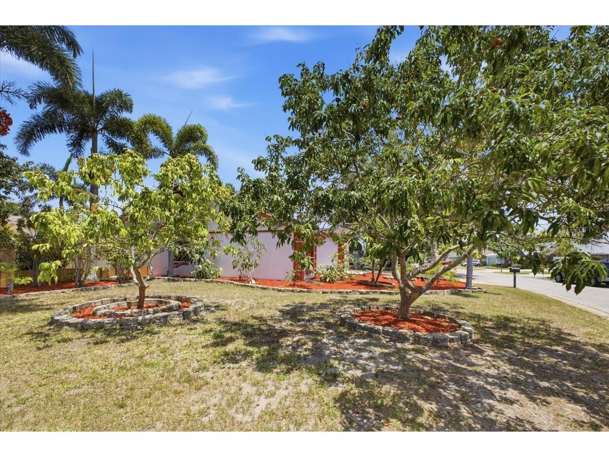 720 50th Street E Bradenton FL 34208 - BADEN RIVER A4695904 image29