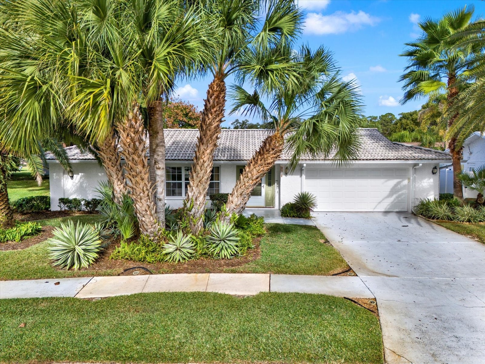 720 Bowsprit Place Palm Harbor FL 34685 W7881093 image1