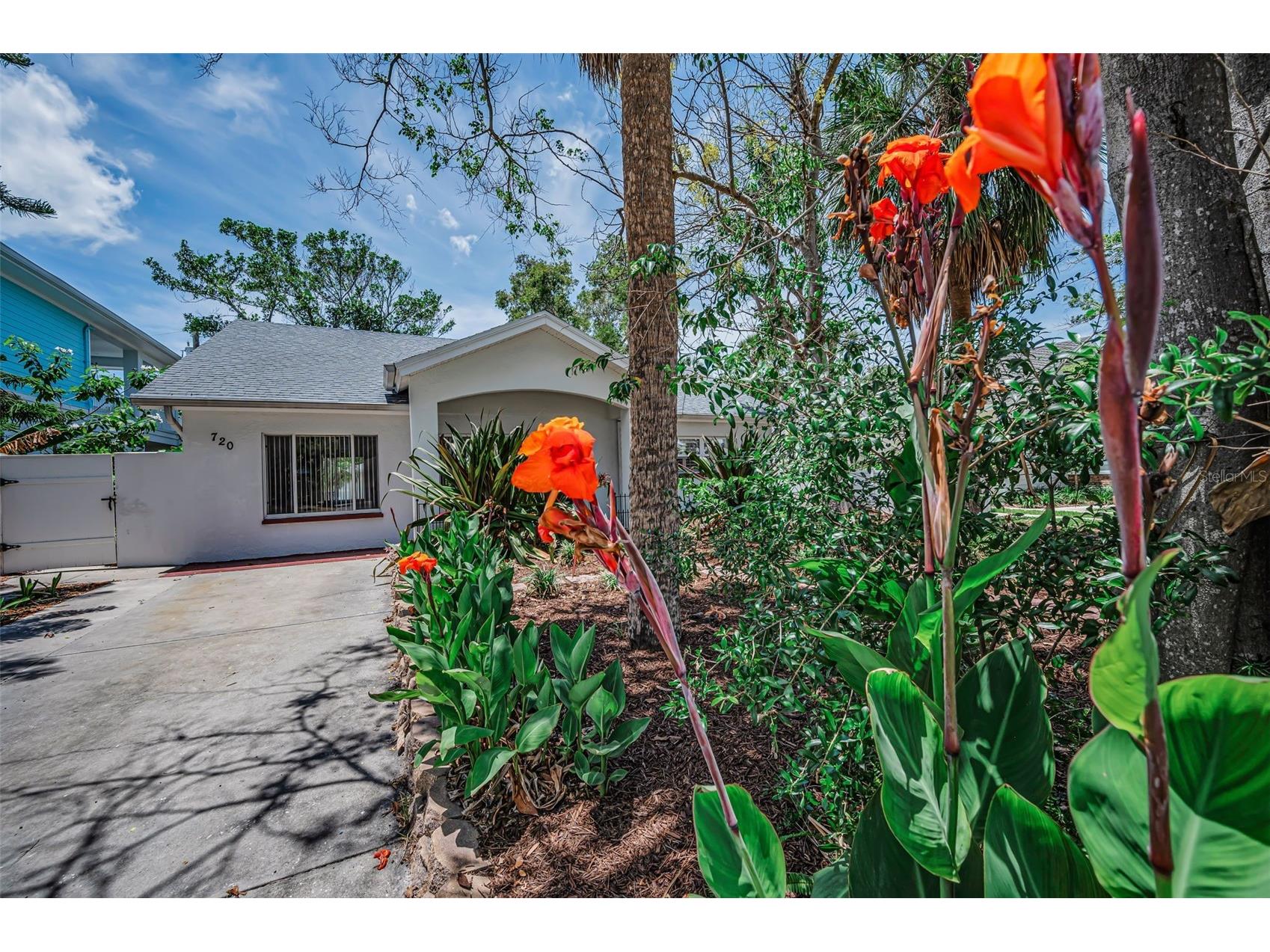 720 Bruce Avenue Clearwater Beach FL 33767 TB8512433 image65