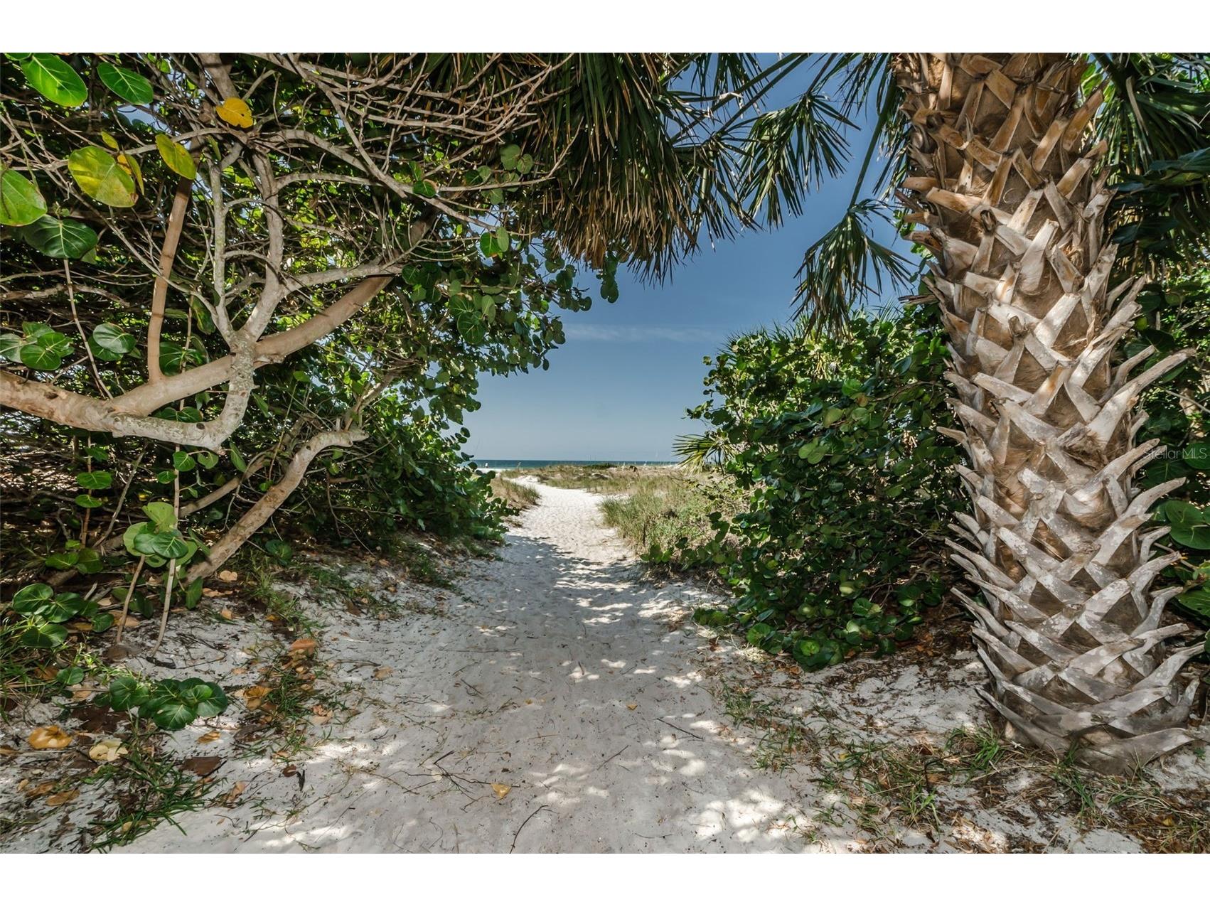 720 Bruce Avenue Clearwater Beach FL 33767 TB8512433 image84
