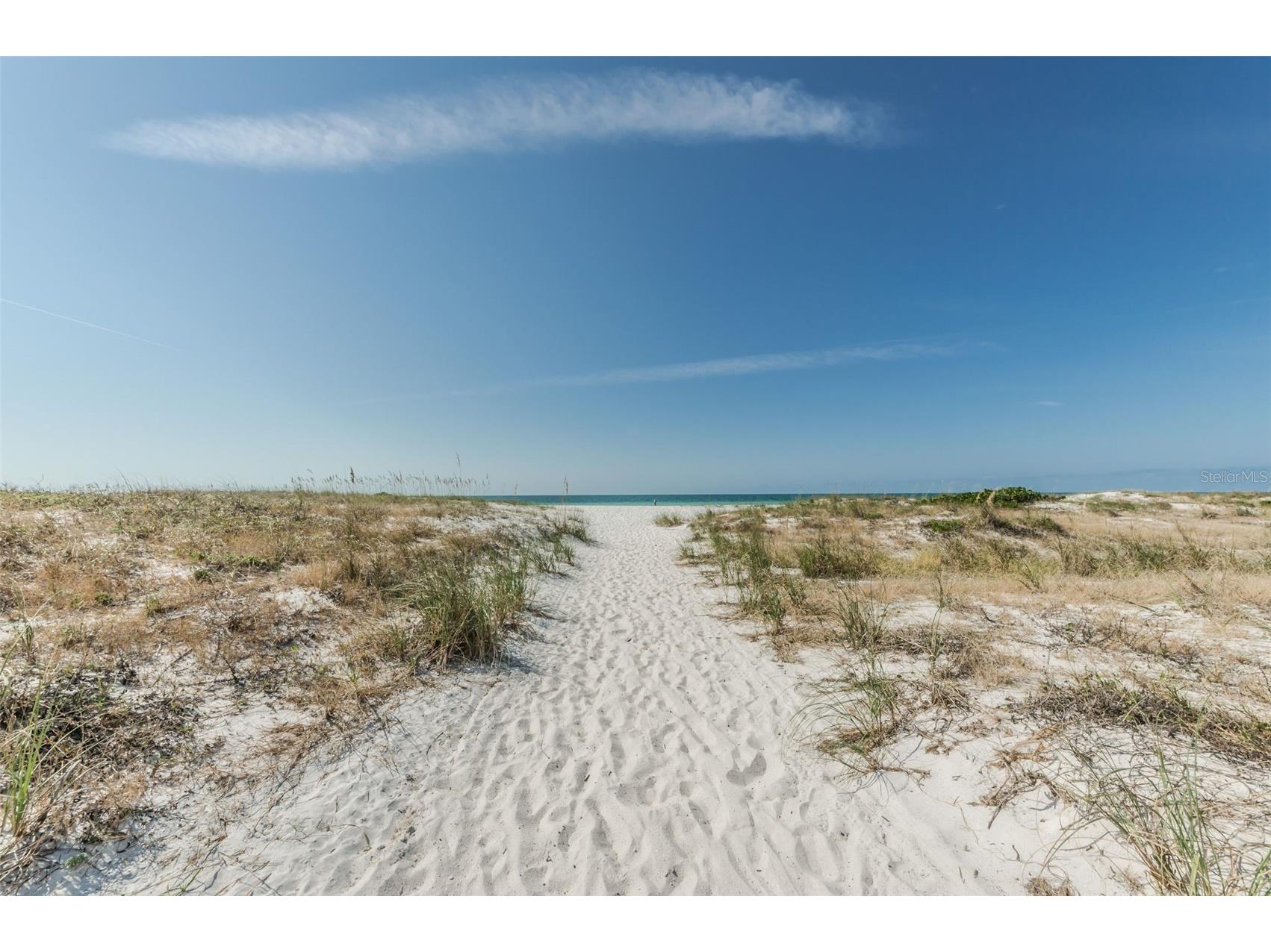 720 Bruce Avenue Clearwater Beach FL 33767 TB8512433 image85