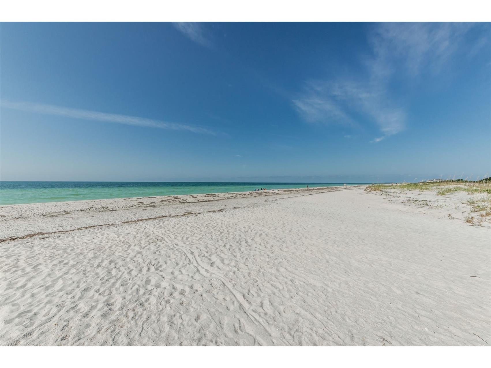 720 Bruce Avenue Clearwater Beach FL 33767 TB8512433 image87