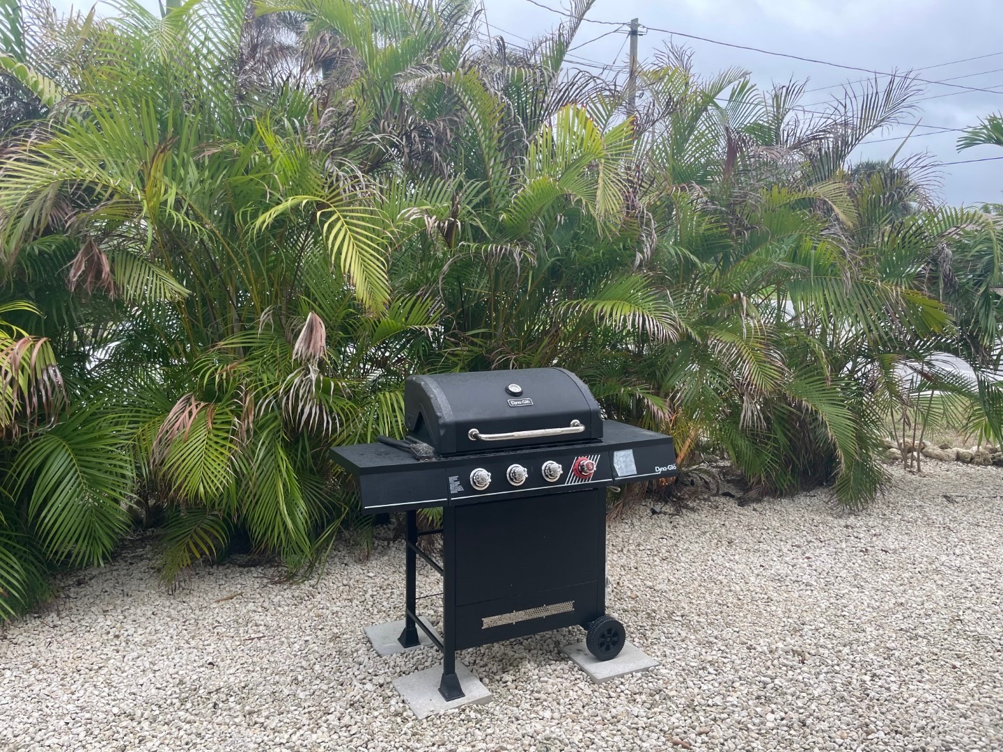 720 E Gulf Boulevard #B Indian Rocks Beach FL 33785 TB8513720 image6