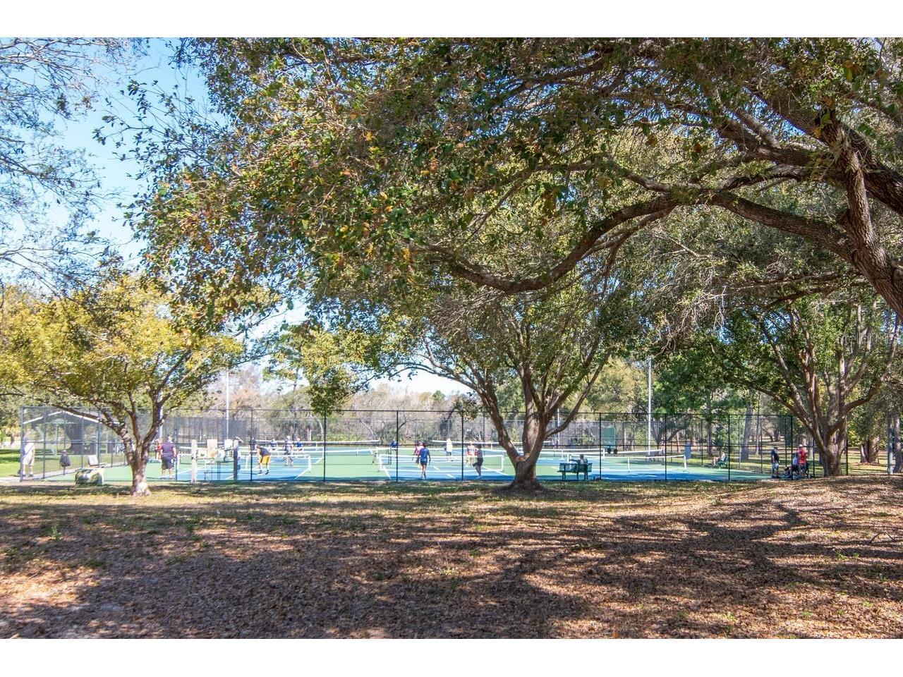 720 Hickory Lane Palm Harbor FL 34683 TB8479261 image51