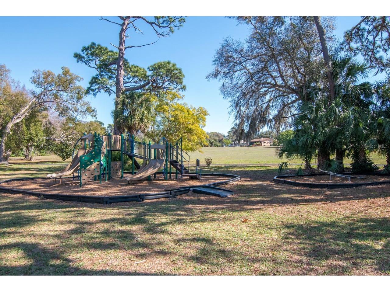 720 Hickory Lane Palm Harbor FL 34683 TB8479261 image52