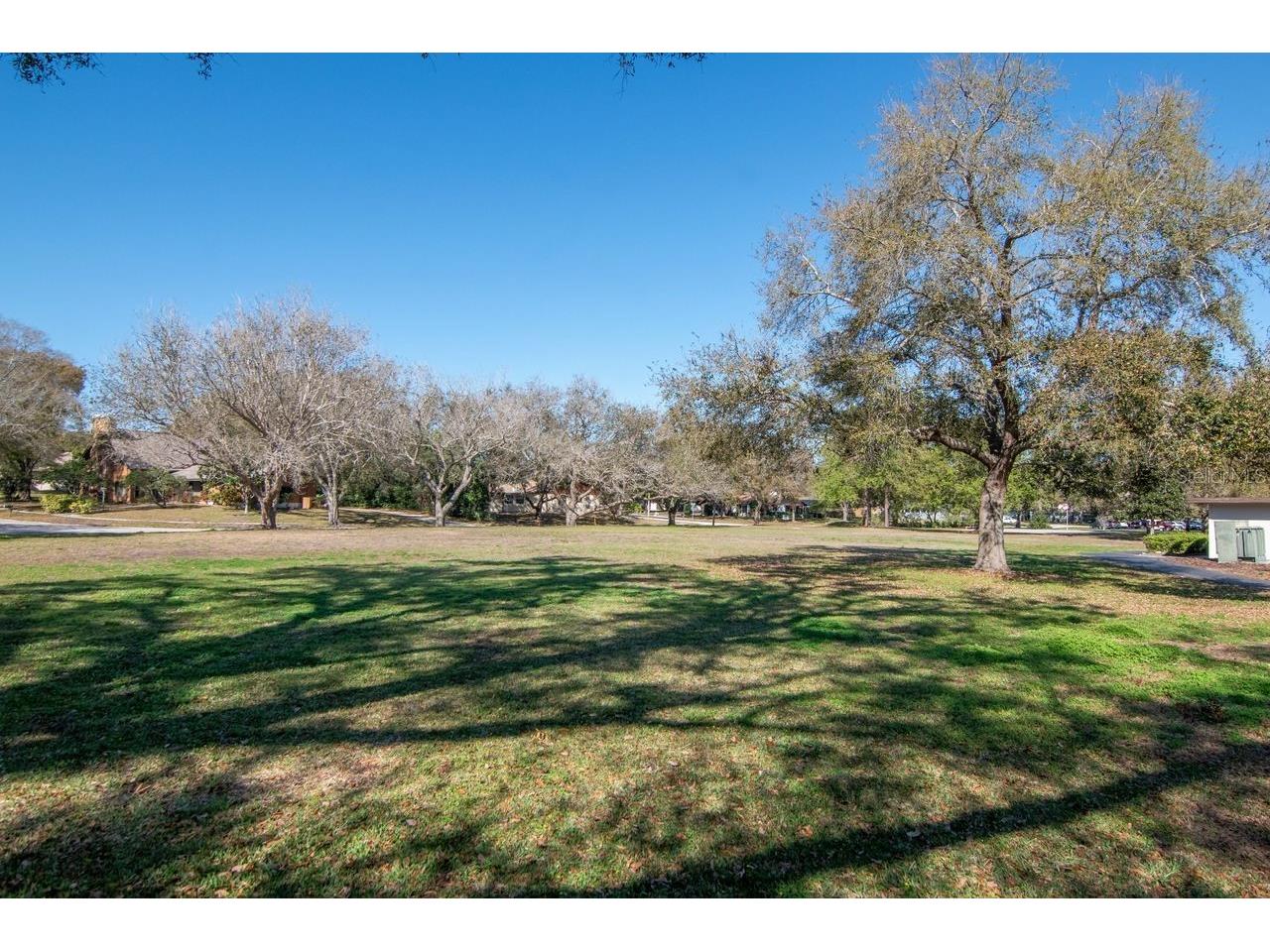 720 Hickory Lane Palm Harbor FL 34683 TB8479261 image57