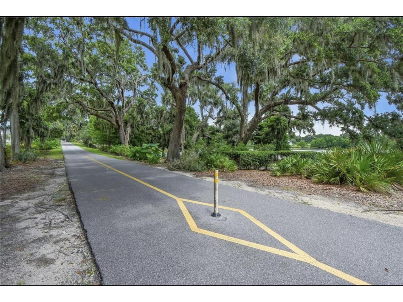 720 Lake Brim Drive Winter Garden FL 34787 O6387519 image79