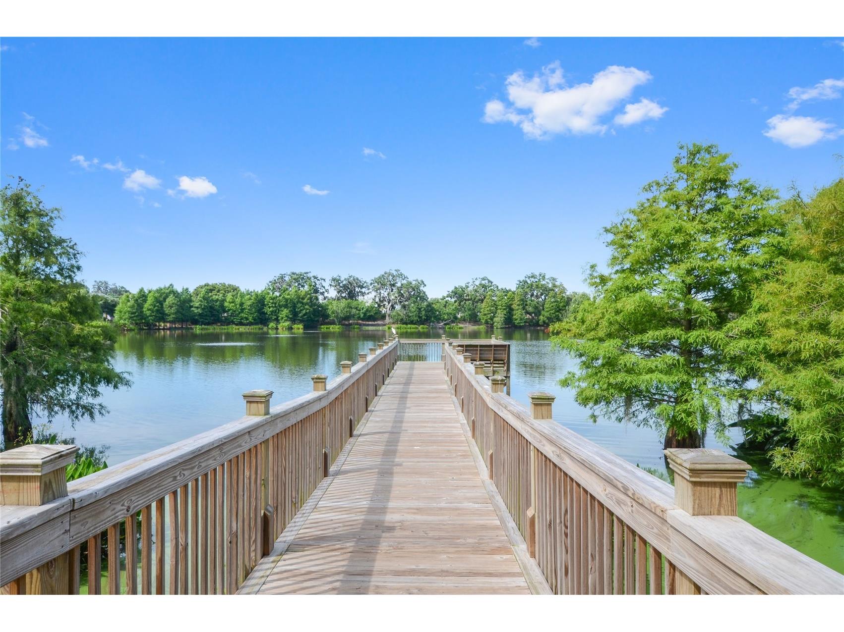 720 Lake Brim Drive Winter Garden FL 34787 O6387519 image81