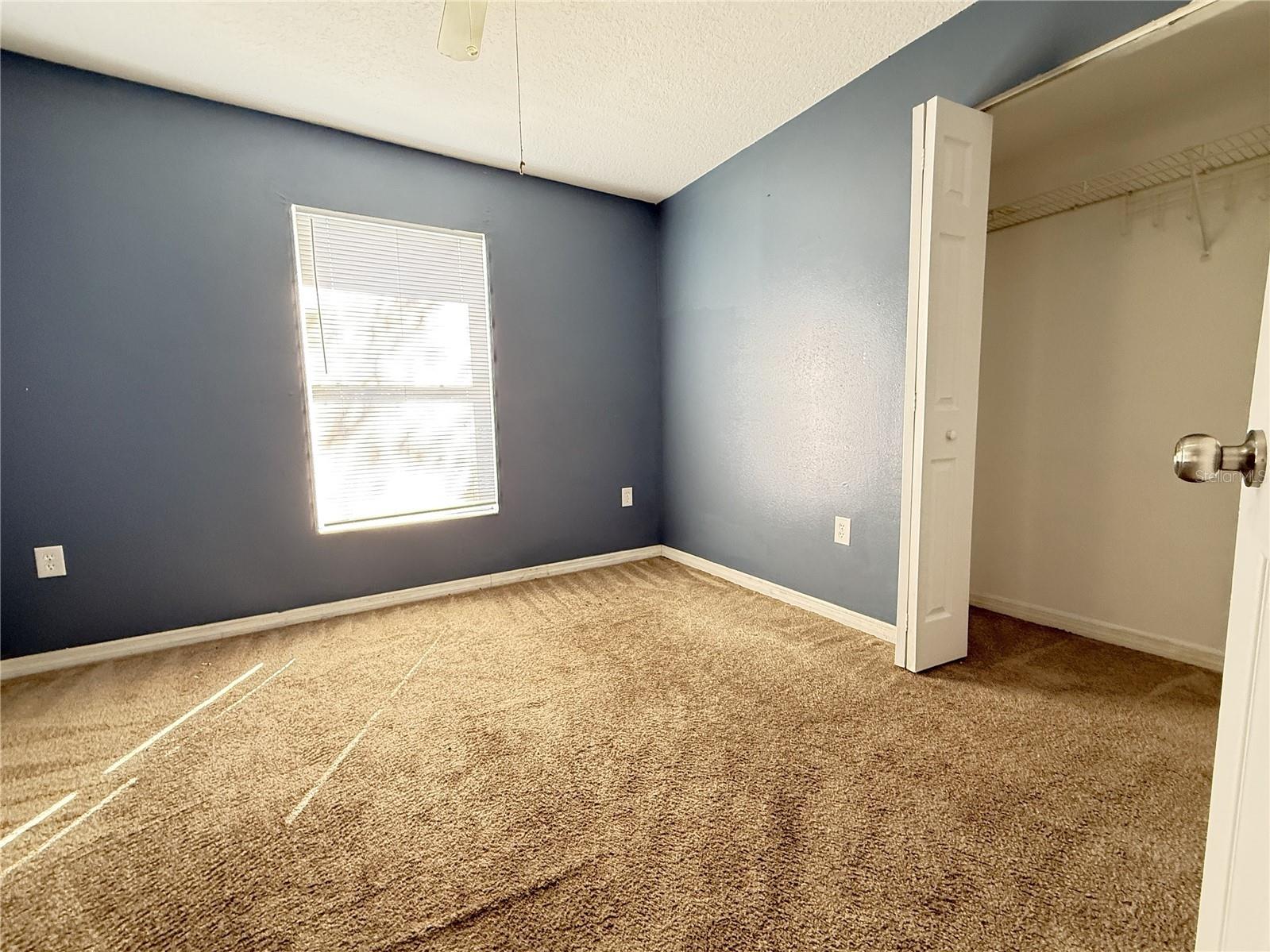 720 Newton Avenue S Saint Petersburg FL 33701 TB8487639 image15