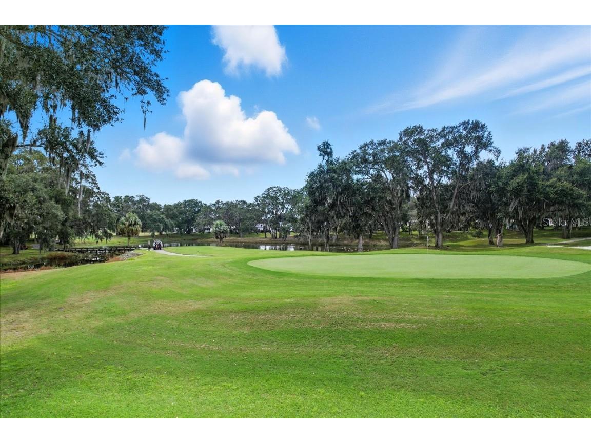 720 Orchid Street Lady Lake FL 32159 OM711608 image41