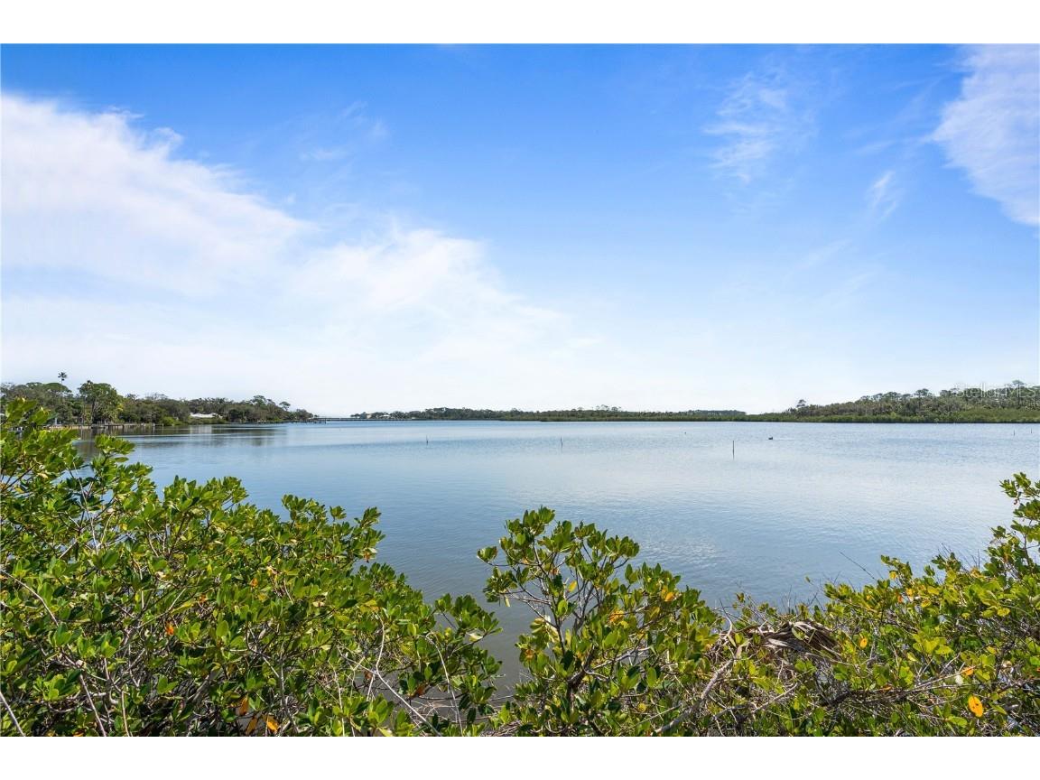 720 Palm Circle Drive Port Orange FL 32127 - ROSE BAY V4940856 image17