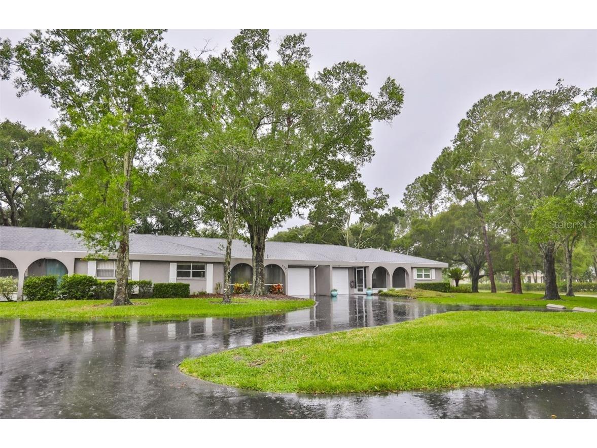 720 Palmer Lane Palm Harbor FL 34685 T3460042 image1