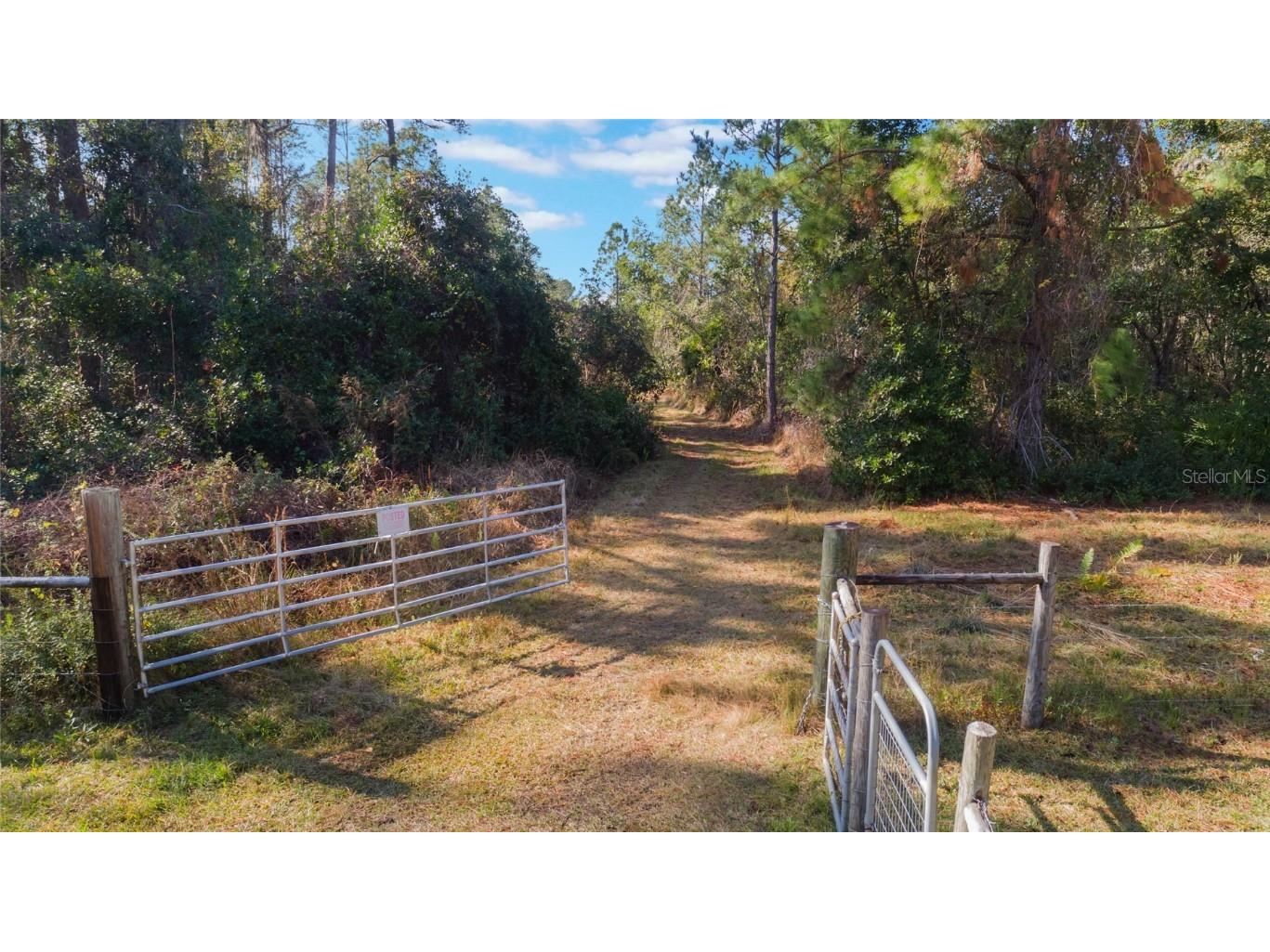 720 Purvis Road Seville FL 32190 V4940010 image1