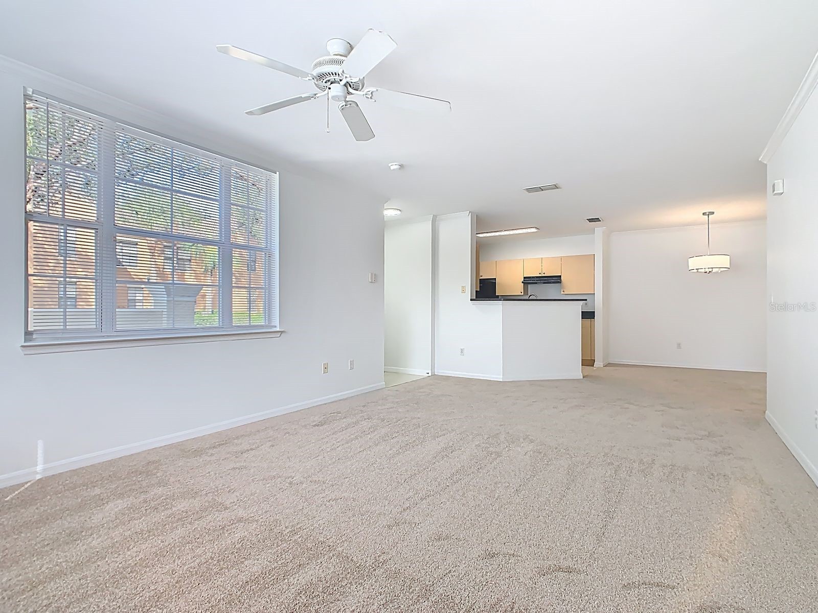 720 Siena Palm Drive #101 Celebration FL 34747 S5120372 image3