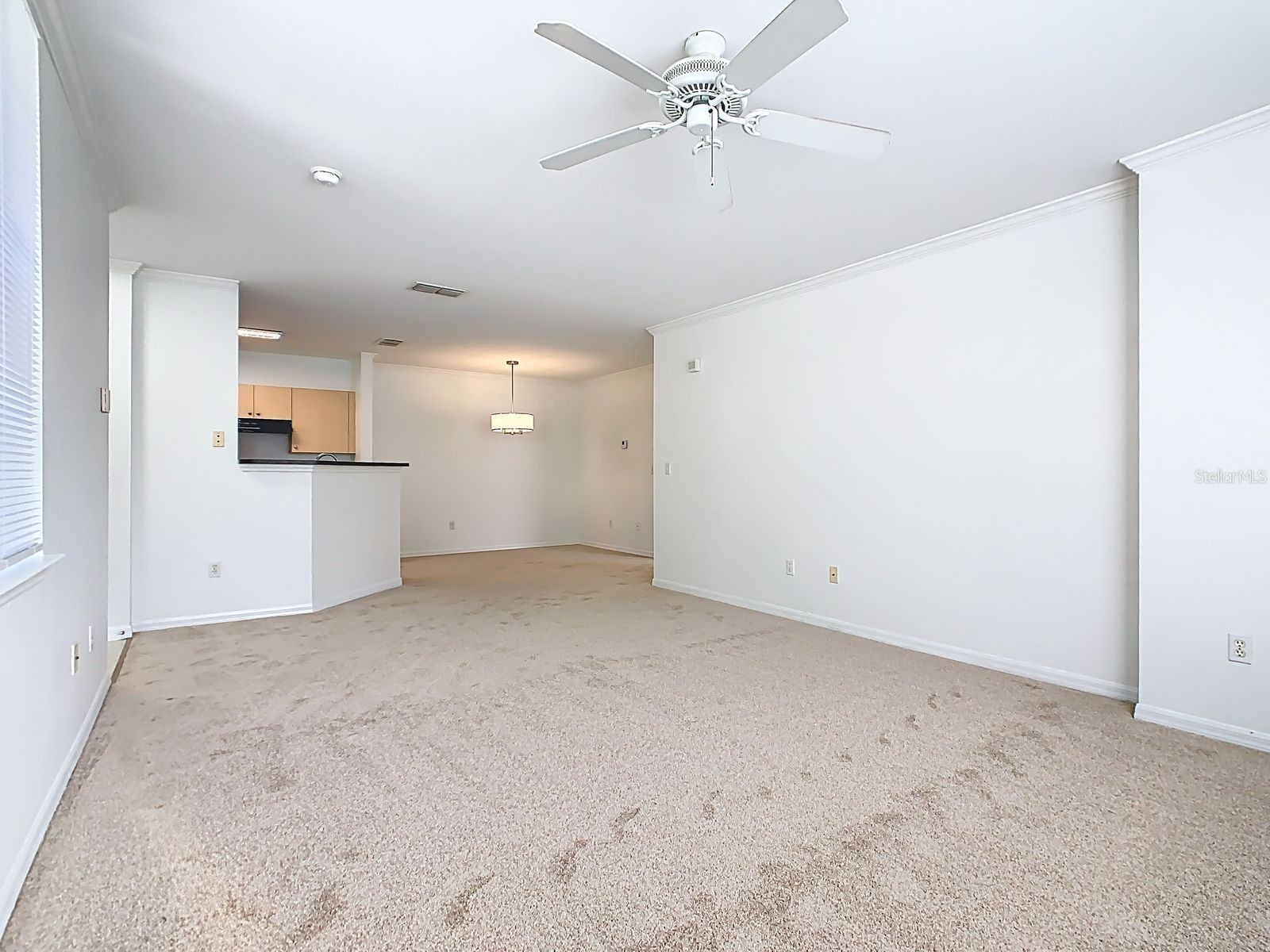 720 Siena Palm Drive #101 Celebration FL 34747 S5120372 image4