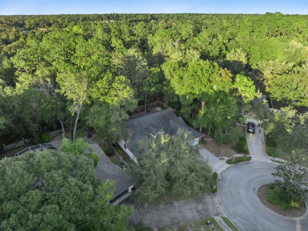 720 Swaying Pine Way Deland FL 32724 O6362595 image56