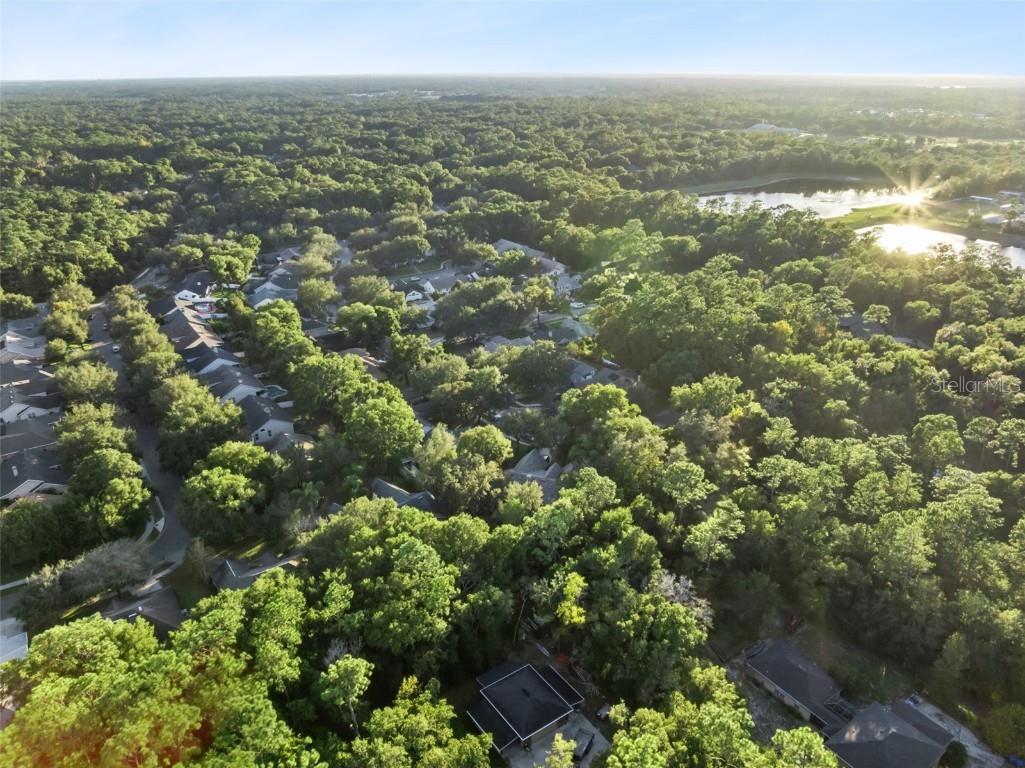 720 Swaying Pine Way Deland FL 32724 O6362595 image57