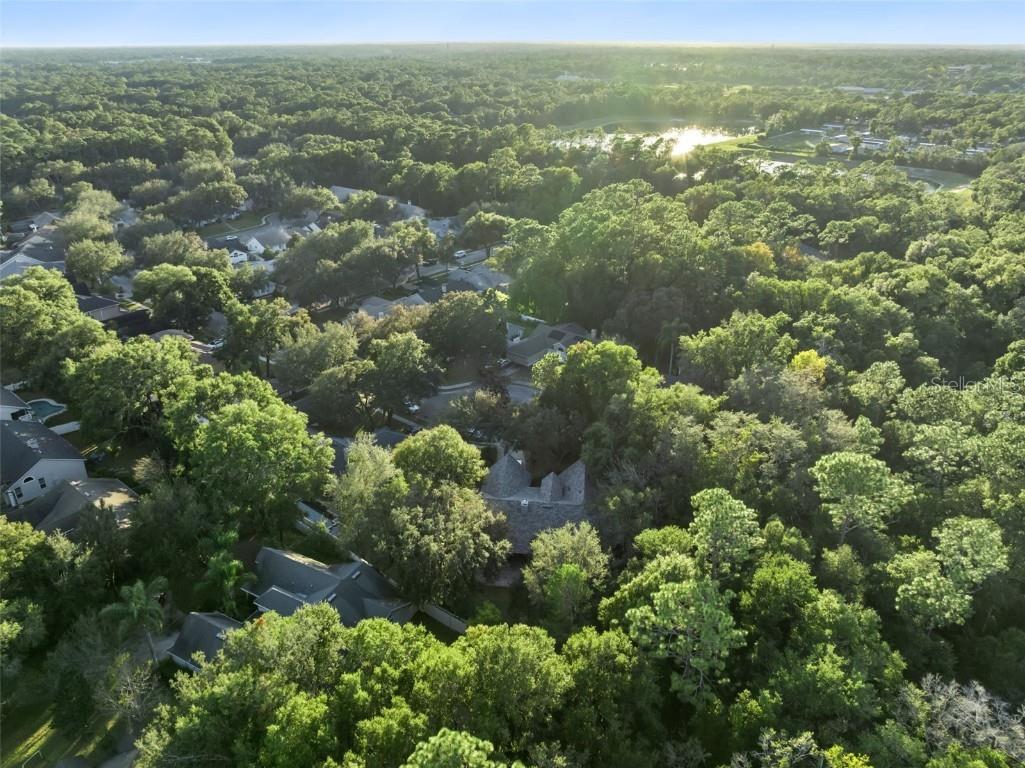 720 Swaying Pine Way Deland FL 32724 O6362595 image58