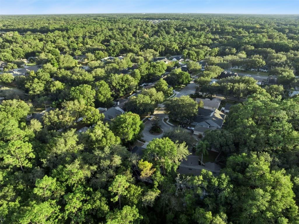 720 Swaying Pine Way Deland FL 32724 O6362595 image59