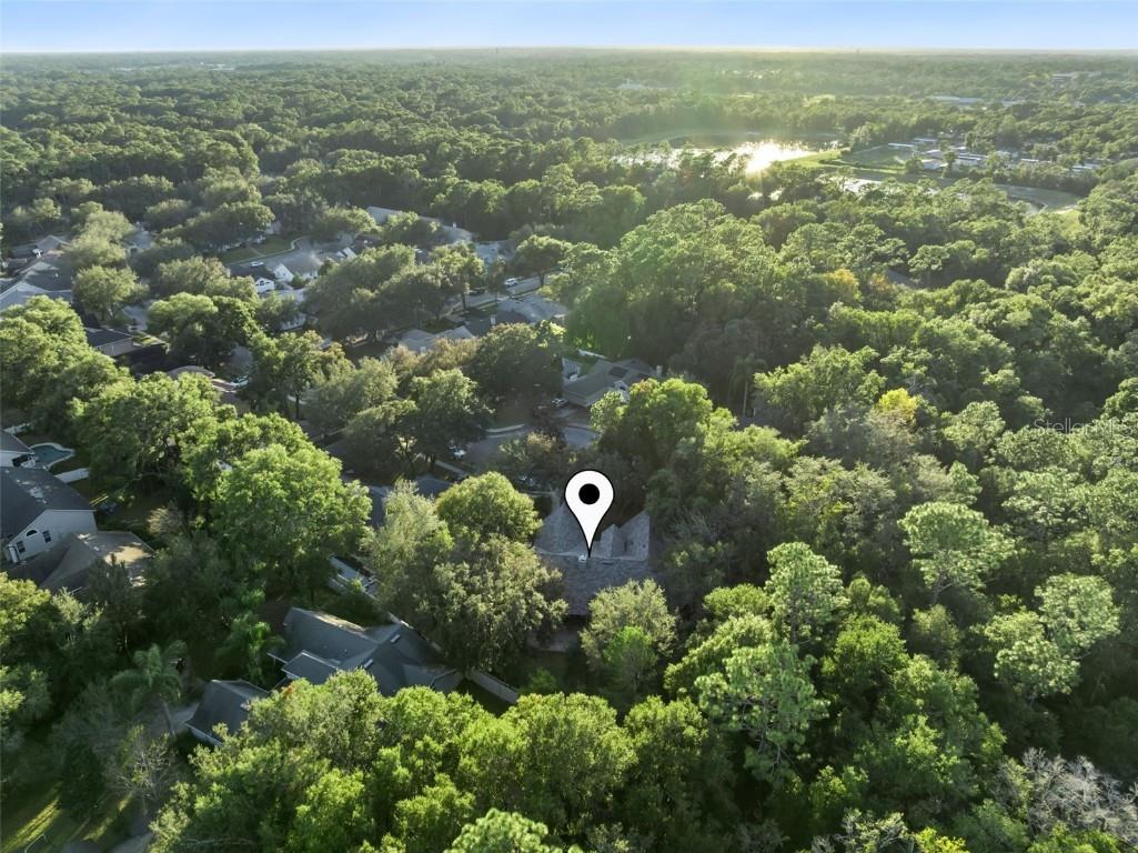 720 Swaying Pine Way Deland FL 32724 O6362595 image62