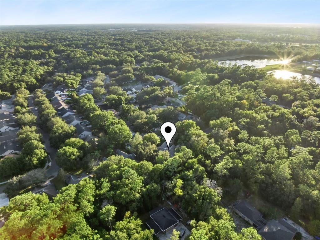 720 Swaying Pine Way Deland FL 32724 O6362595 image64