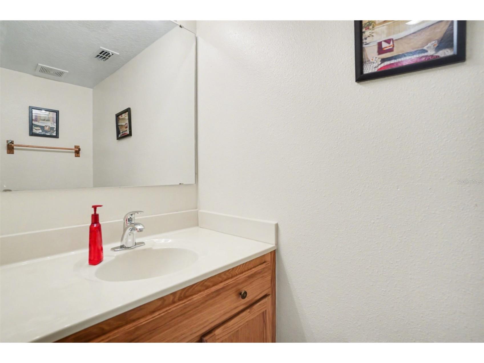 720 Valrico Hills Lane Valrico FL 33594 W7884632 image18