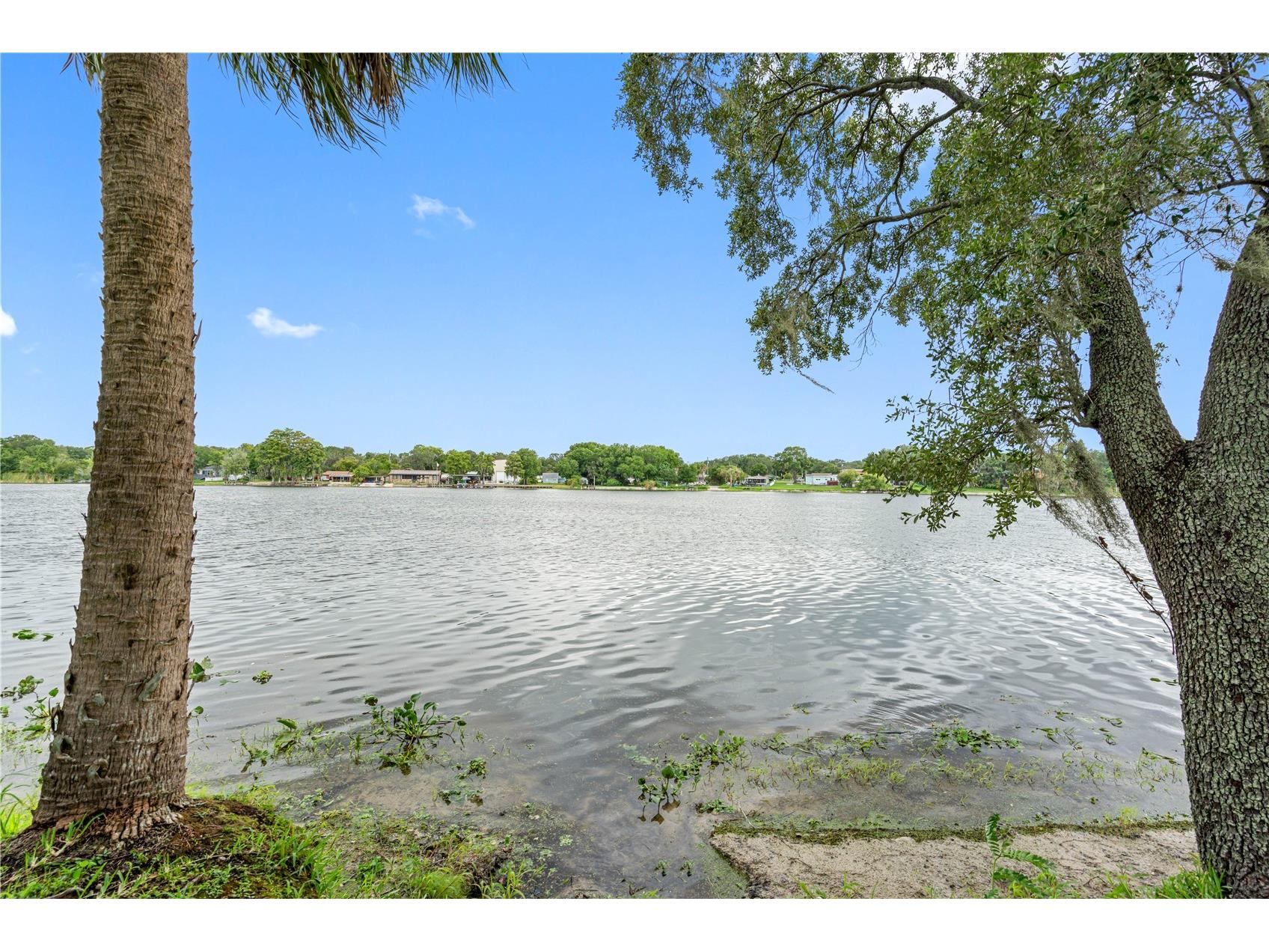 7200 E Bank Drive #0 Tampa FL 33617 TB8514341 image49
