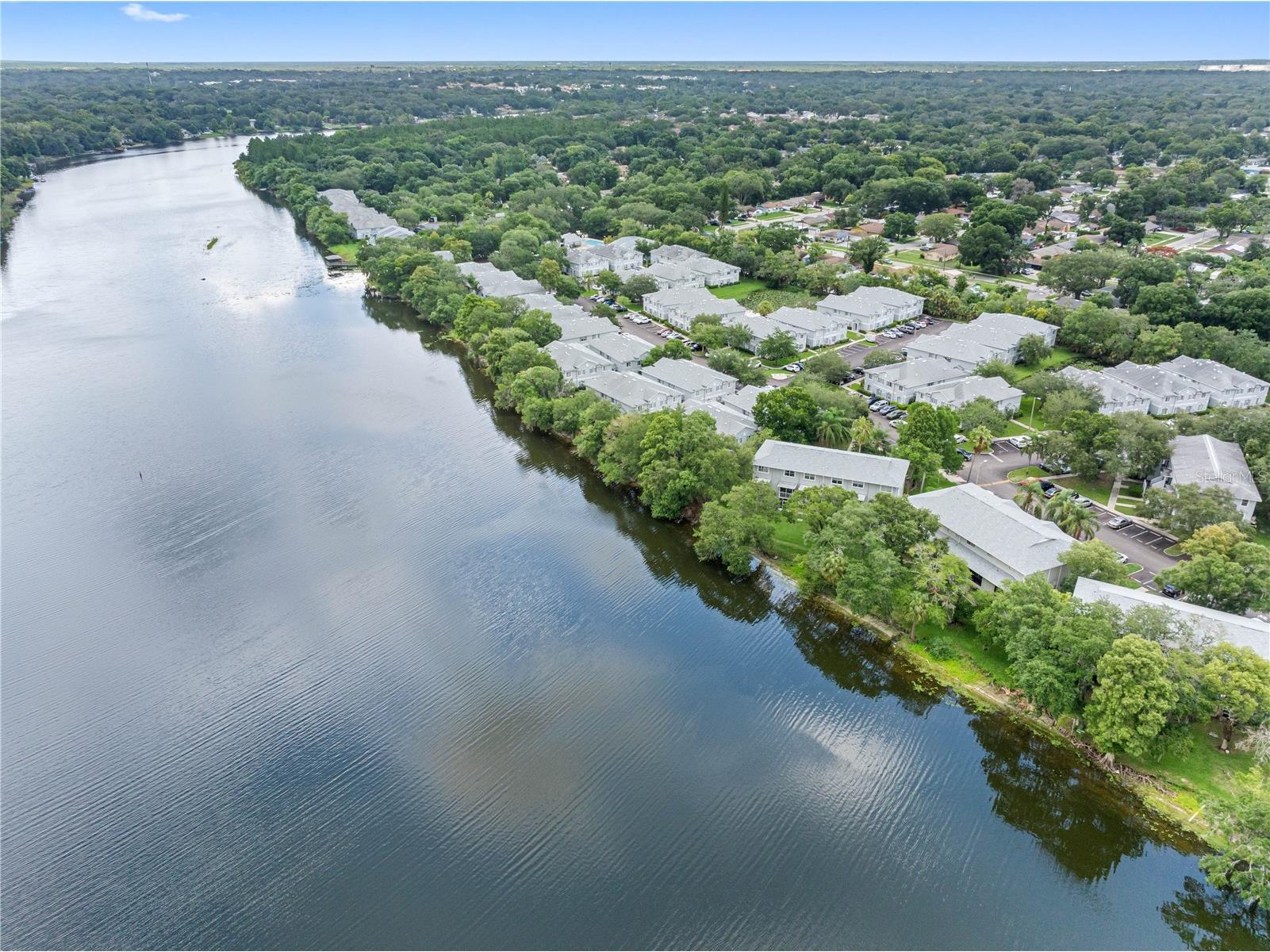 7200 E Bank Drive #0 Tampa FL 33617 TB8514341 image51