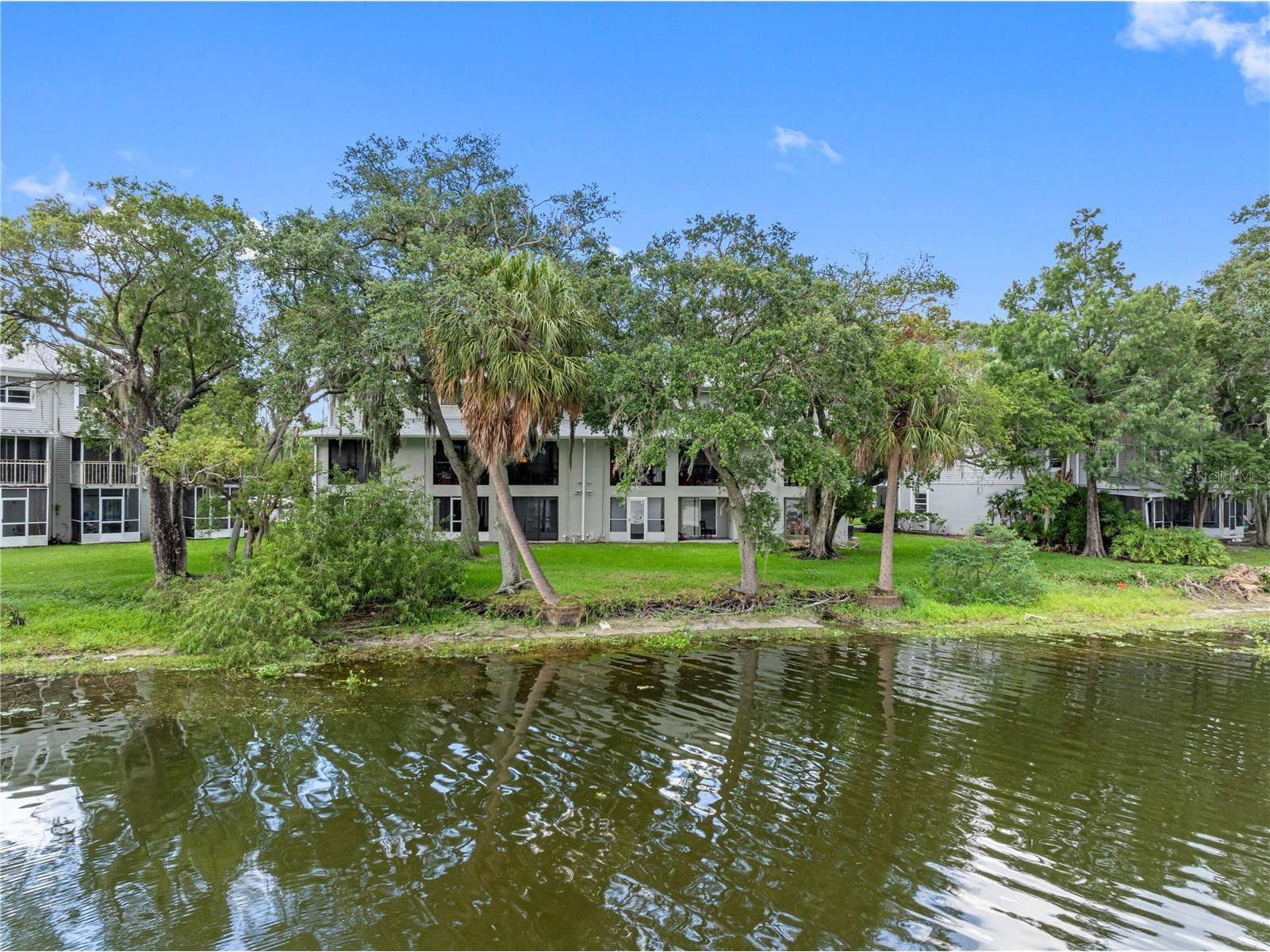 7200 E Bank Drive #0 Tampa FL 33617 TB8514341 image59