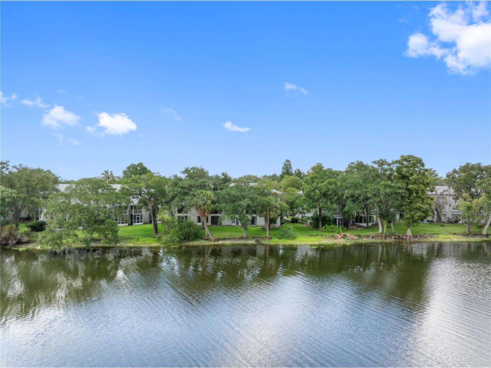 7200 E Bank Drive #0 Tampa FL 33617 TB8514341 image60