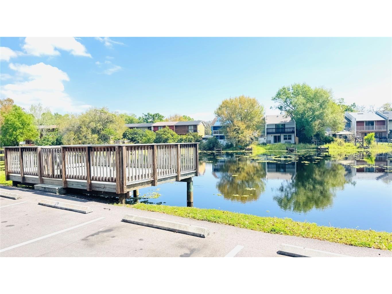 7200 E Bank Drive Tampa FL 33617 - HILLSBOROUGH RIVER TB8447048 image15