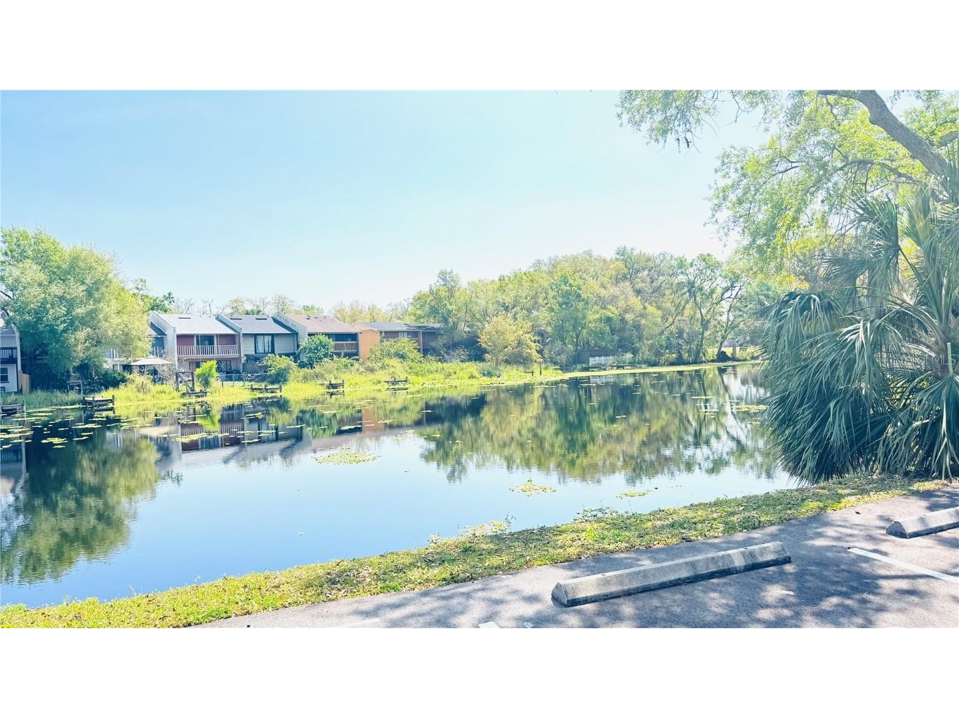 7200 E Bank Drive Tampa FL 33617 - HILLSBOROUGH RIVER TB8447048 image19