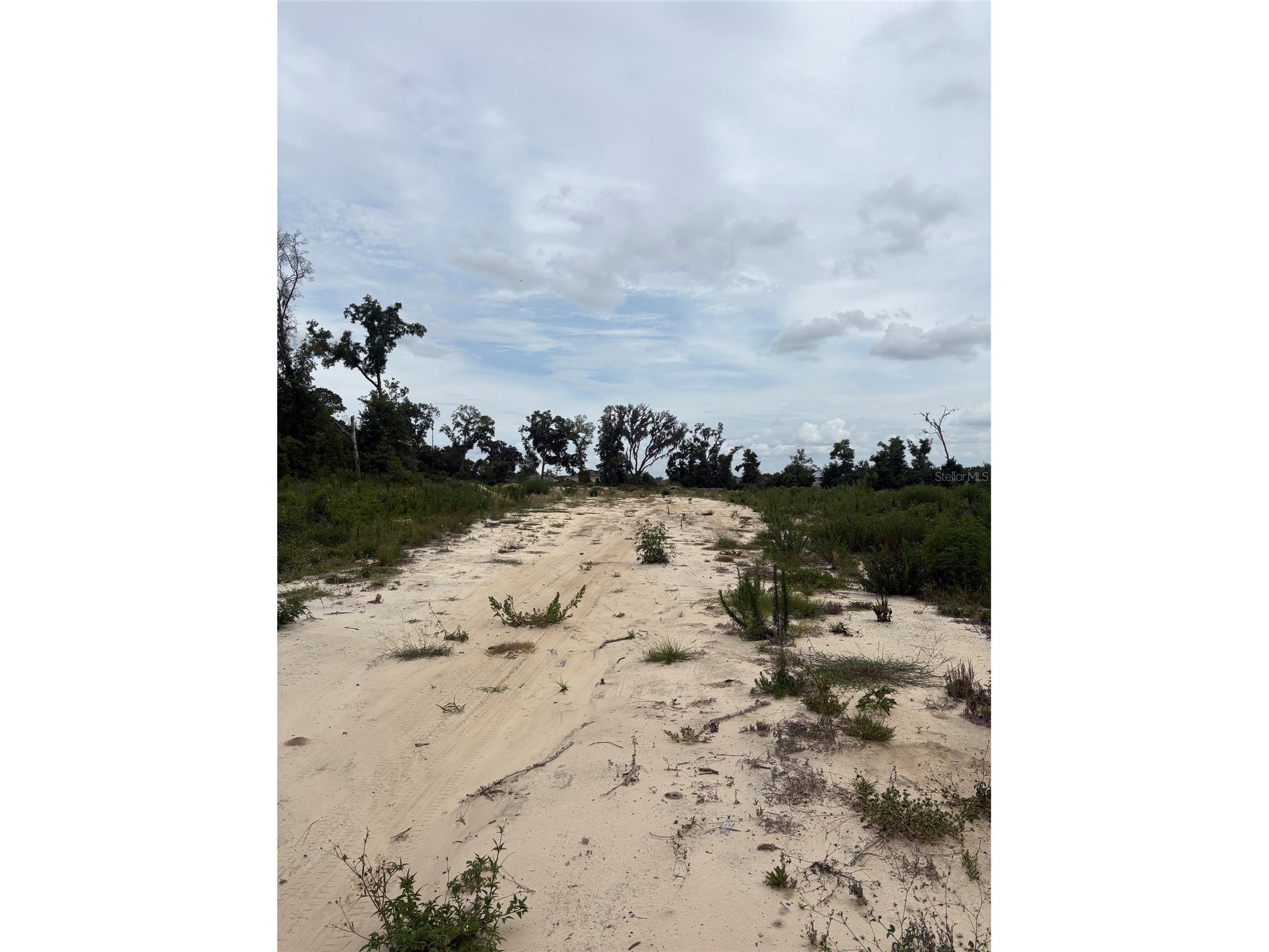 7200 E Highway 25 Belleview FL 34420 OM726791 image4