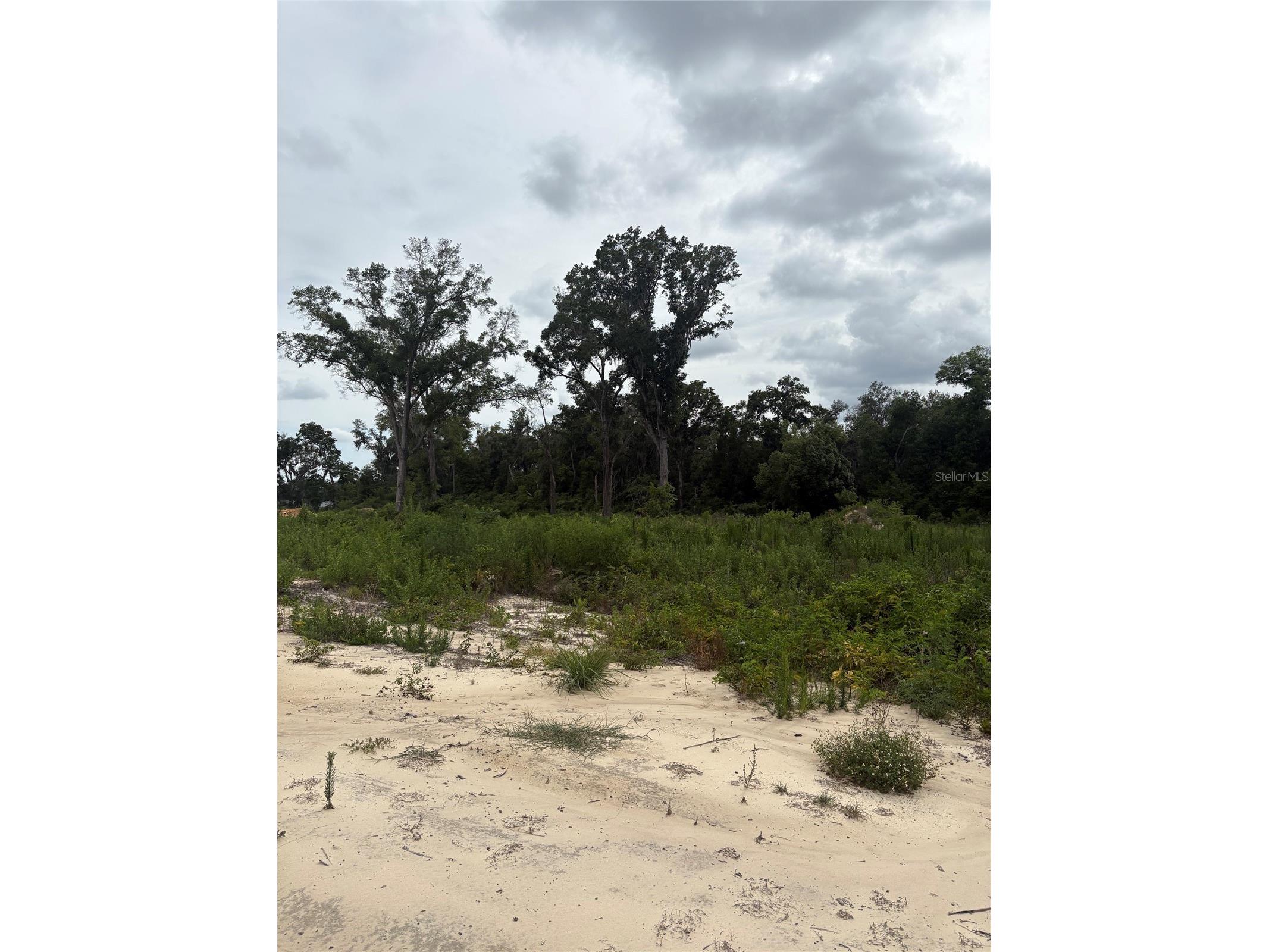 7200 E Highway 25 Belleview FL 34420 OM726791 image5