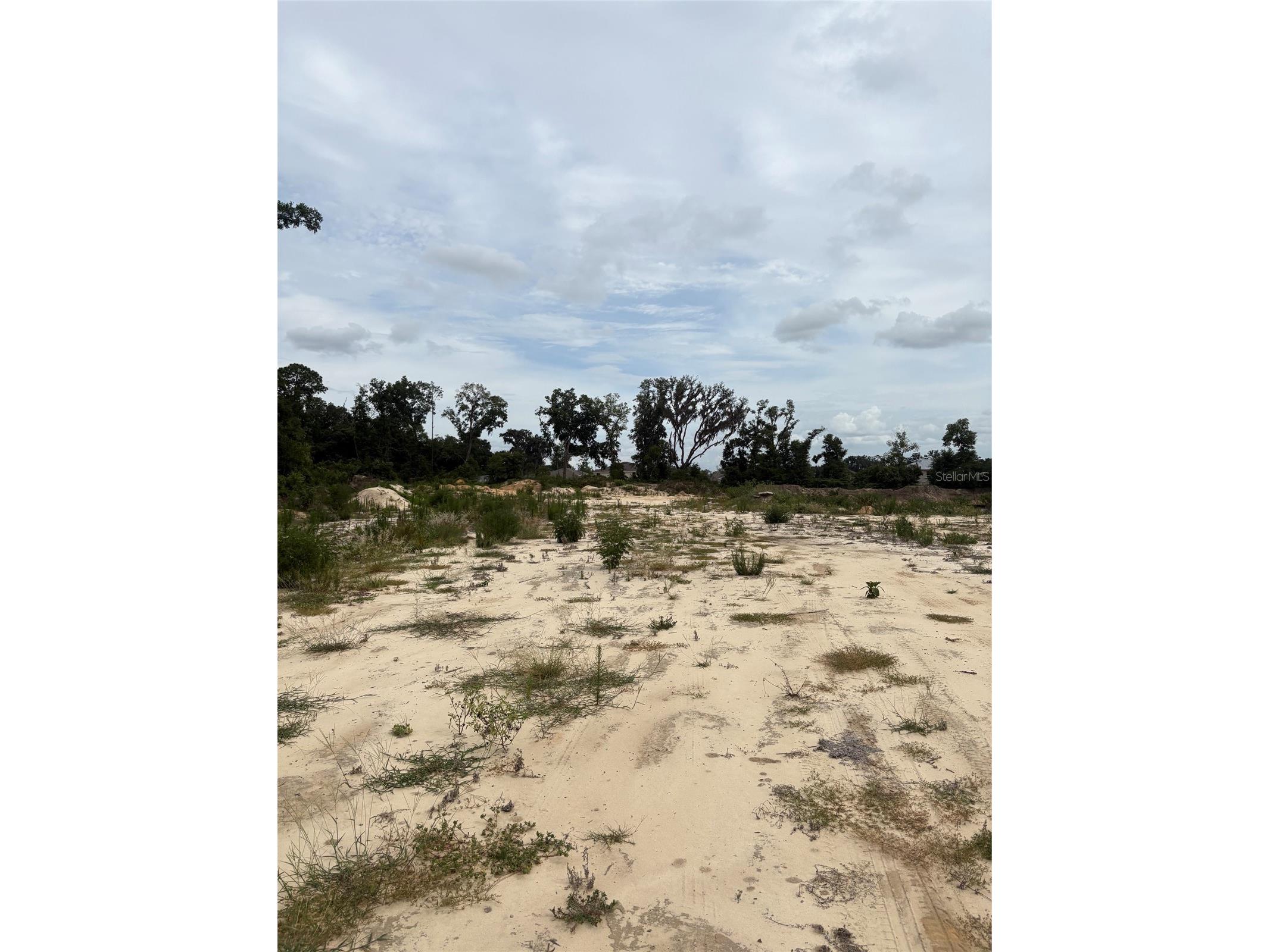 7200 E Highway 25 Belleview FL 34420 OM726791 image6