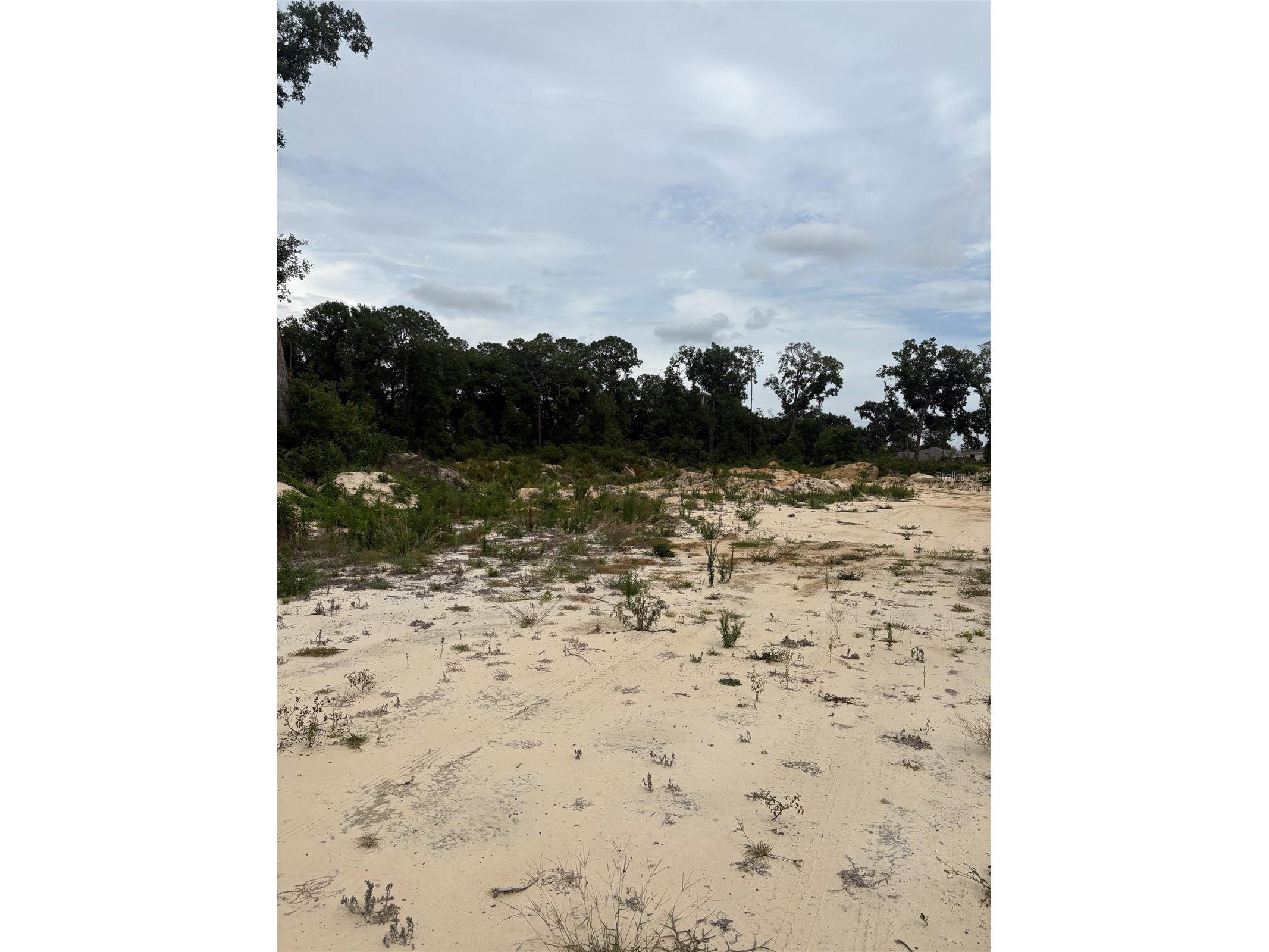 7200 E Highway 25 Belleview FL 34420 OM726791 image7