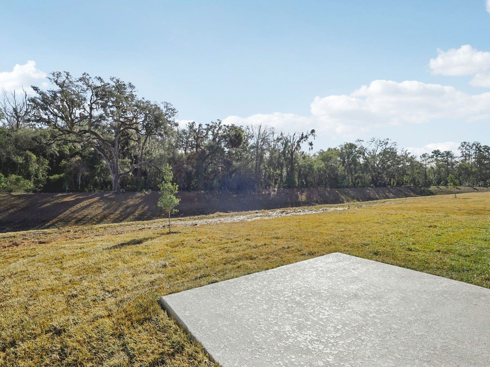 7200 Ray Creek Drive Brooksville FL 34601 TB8474653 image36