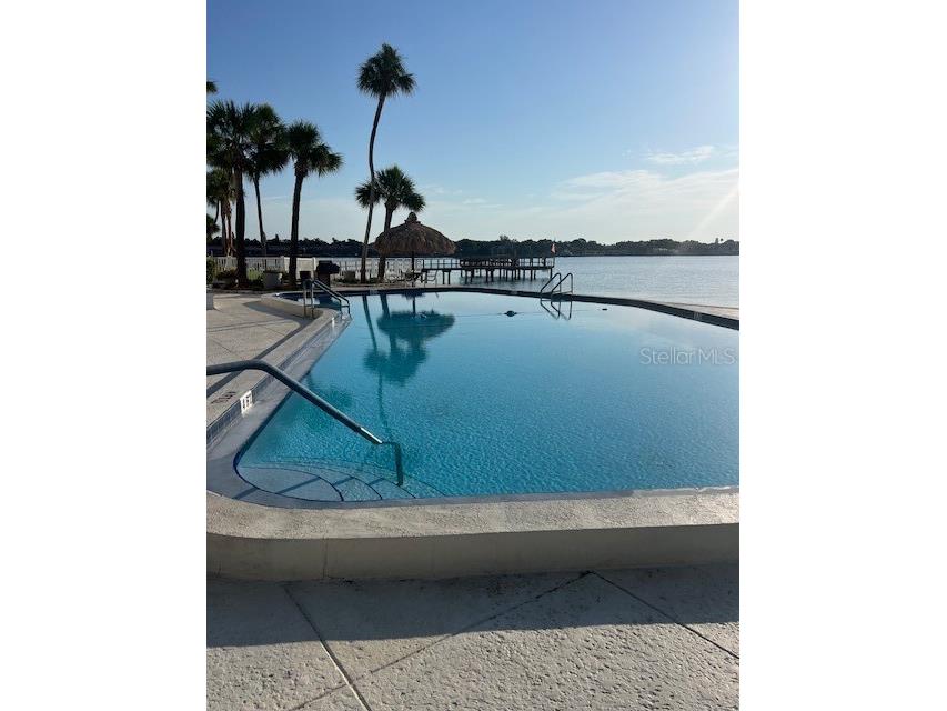 7200 Sunshine Skyway Lane S #15F Saint Petersburg FL 33711 - TAMPA BAY TB8448014 image15