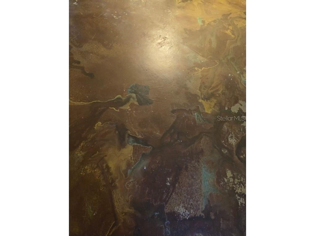 7200 Ulmerton Road #C3 Largo FL 33771 TB8451538 image15