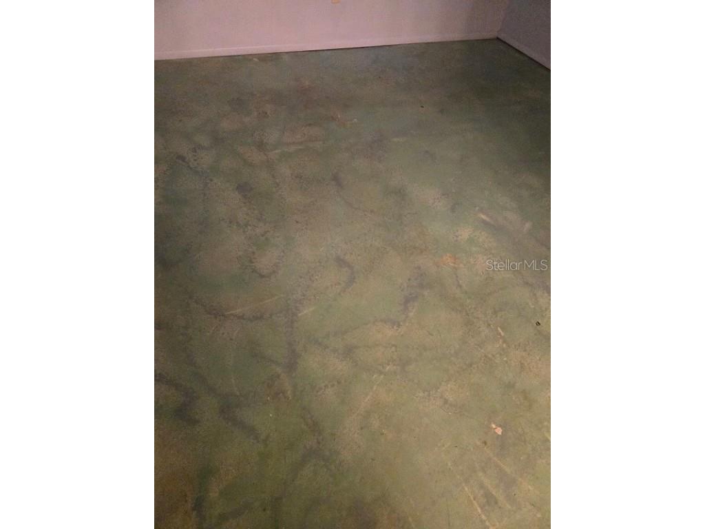 7200 Ulmerton Road #C3 Largo FL 33771 TB8451538 image17