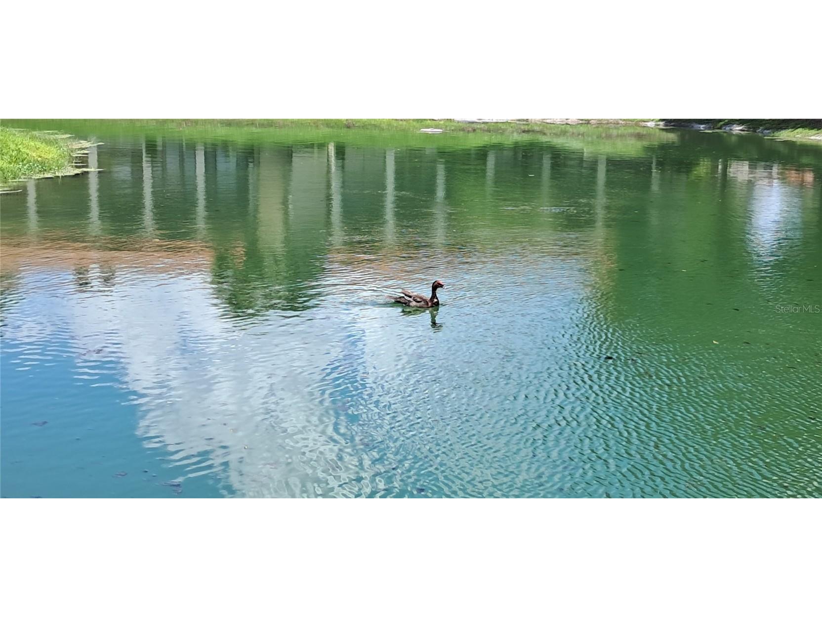 7201 Country Club Drive #G21 Lake Wales FL 33898 P4935318 image49