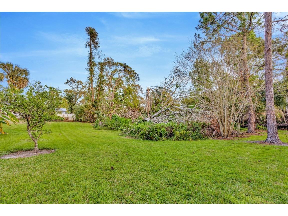 7201 Hodgewood Ct Court Tampa FL 33614 - EGYPT LAKE TB8448439 image47