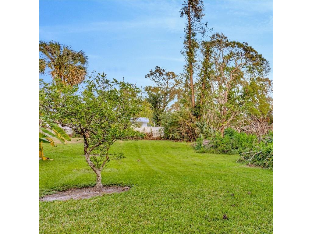 7201 Hodgewood Ct Court Tampa FL 33614 - EGYPT LAKE TB8448439 image49